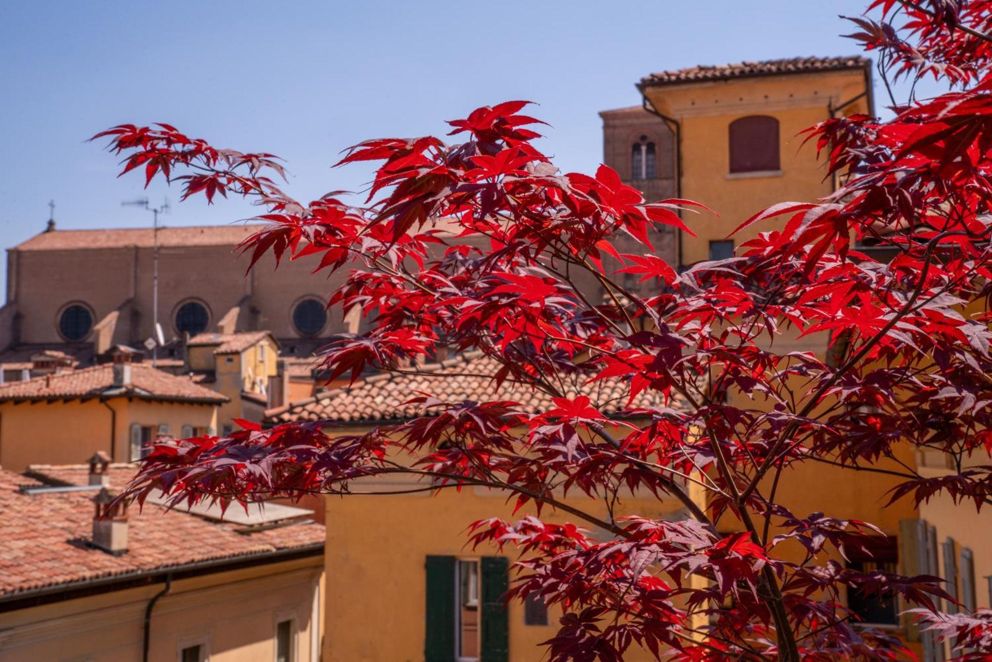 Piazza Maggiore Santa Margherita B&B Bologna Cameră foto